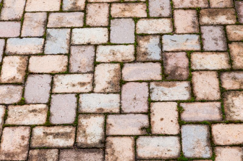 Brick Flatwork Repair in Oviedo, FL