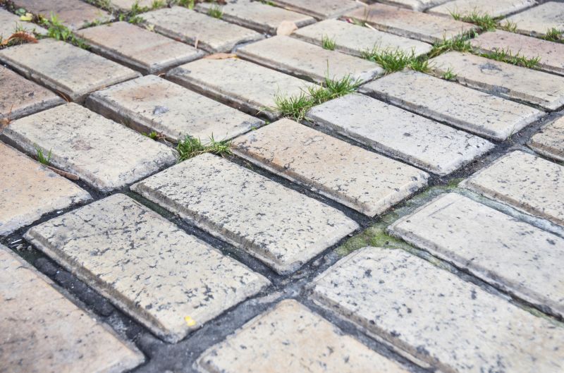 Brick Flatwork Repair in Winter Garden, FL