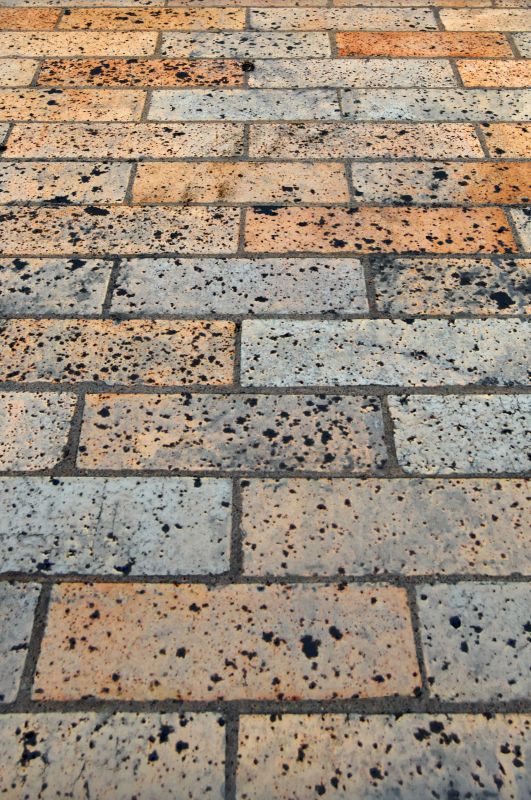 Brick Flatwork Repair in Winter Garden, FL