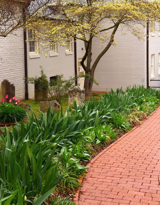 Brick Pathway Repair in Orlando, FL