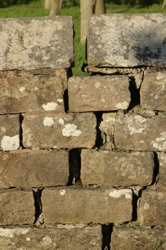 Stone Wall Repair in Windermere, FL